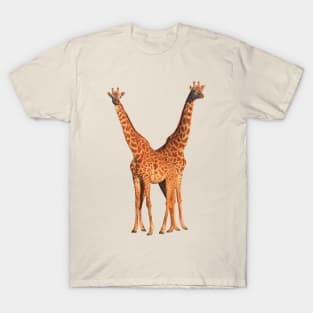 Maasai-Giraffe - Giraffe - Wildlife in Africa T-Shirt